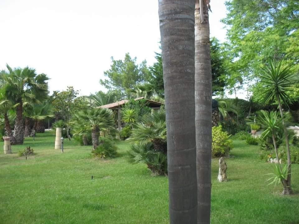 Villa Ceciliaマティーノ エクステリア 写真